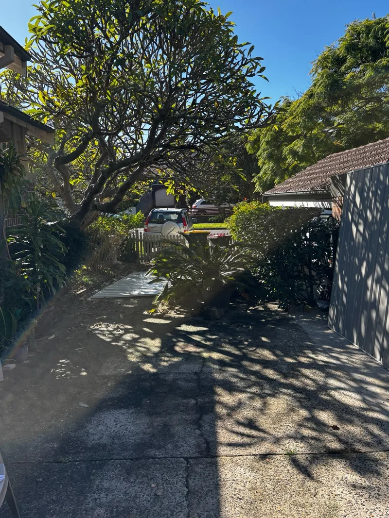 Willoughby garden area before construction of the new shed.