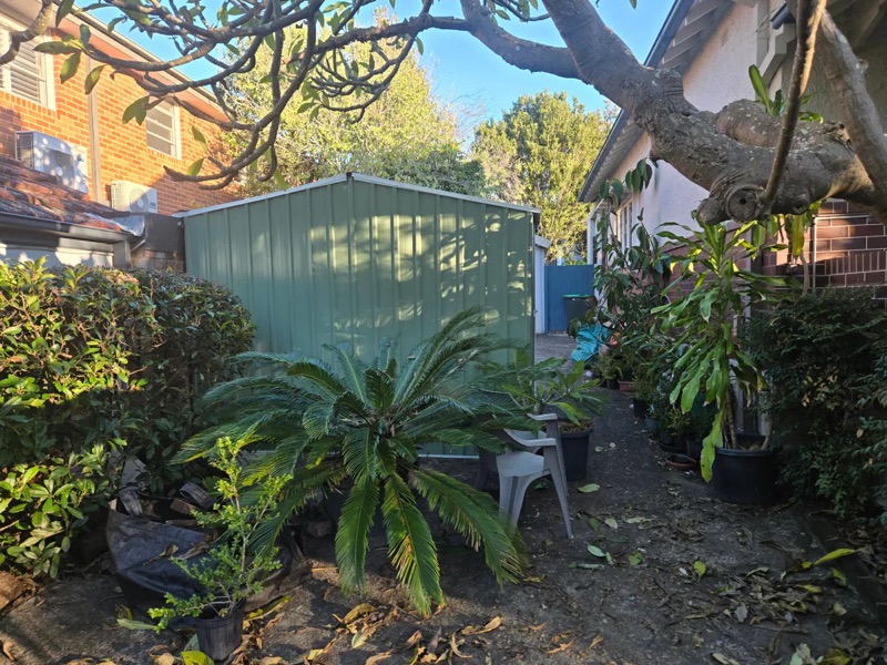 Completed green 3m by 3m shed in the Willoughby garden.